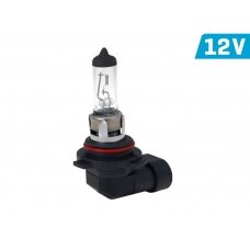 12V 55W P22D HB4 VISION