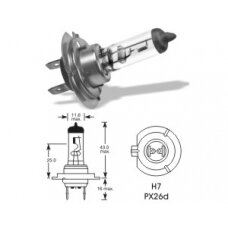 12V 55W Px26d H7 VISION PRO E1