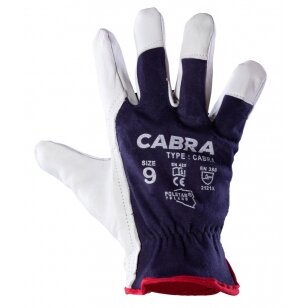 Work gloves with natural goat skin - CABRA (9 size)